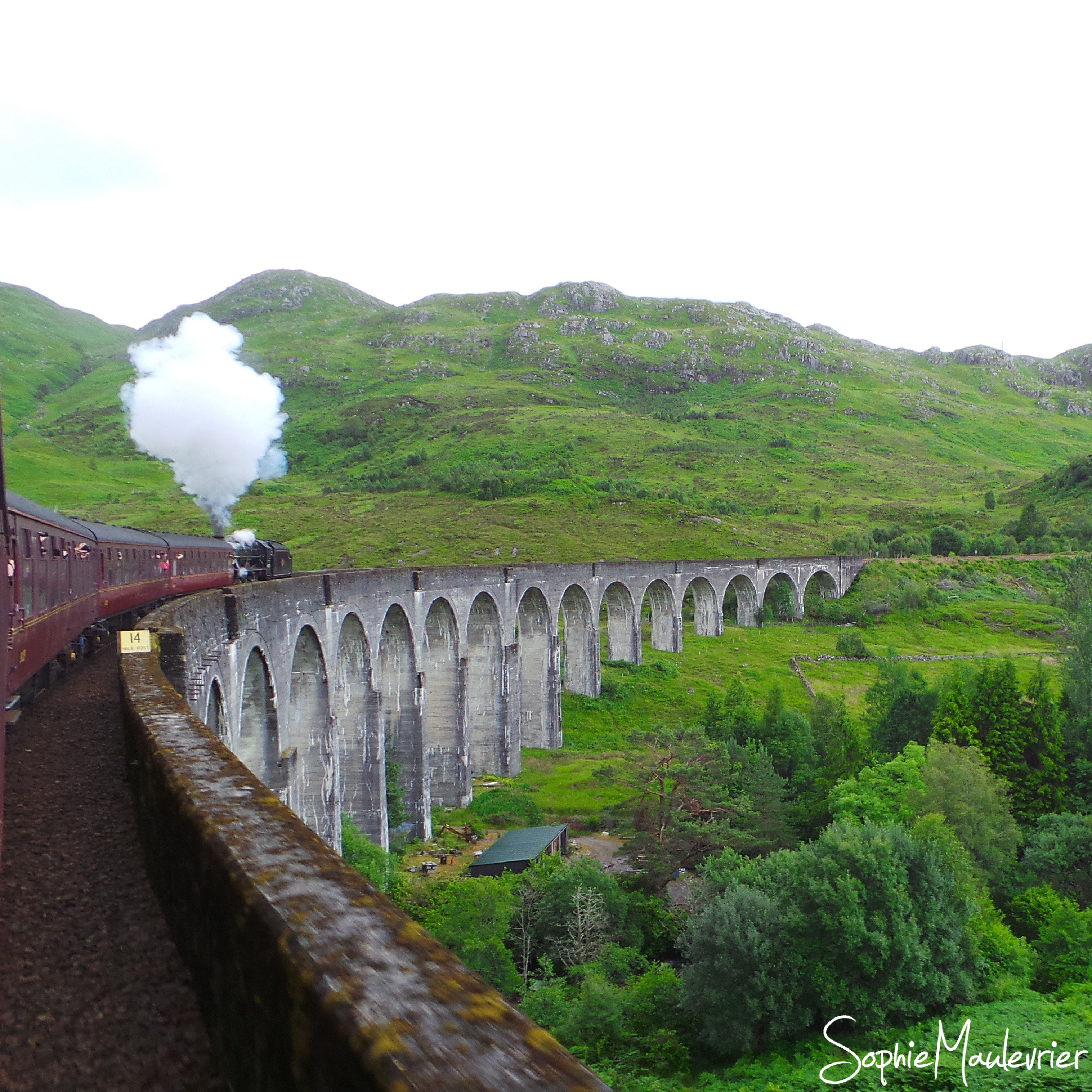 Le Jacobite train - Le train d'Harry Potter en Ecosse