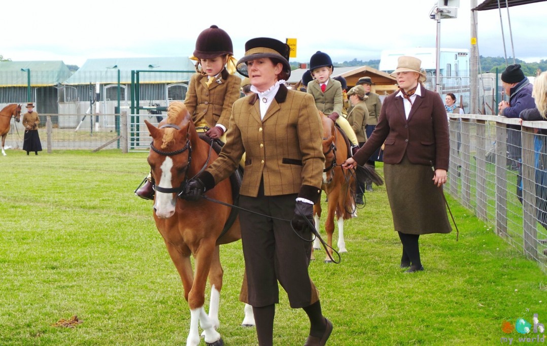 Démonstration de chevaux Royal Highland Show 2015