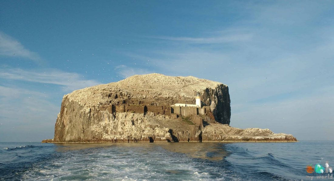 Rocher de Bass Rock et sa colonie de fous de bassan