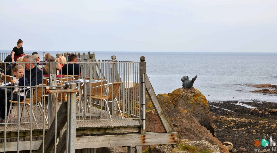 Terrasse du Centre des oiseaux marins d'Ecosse