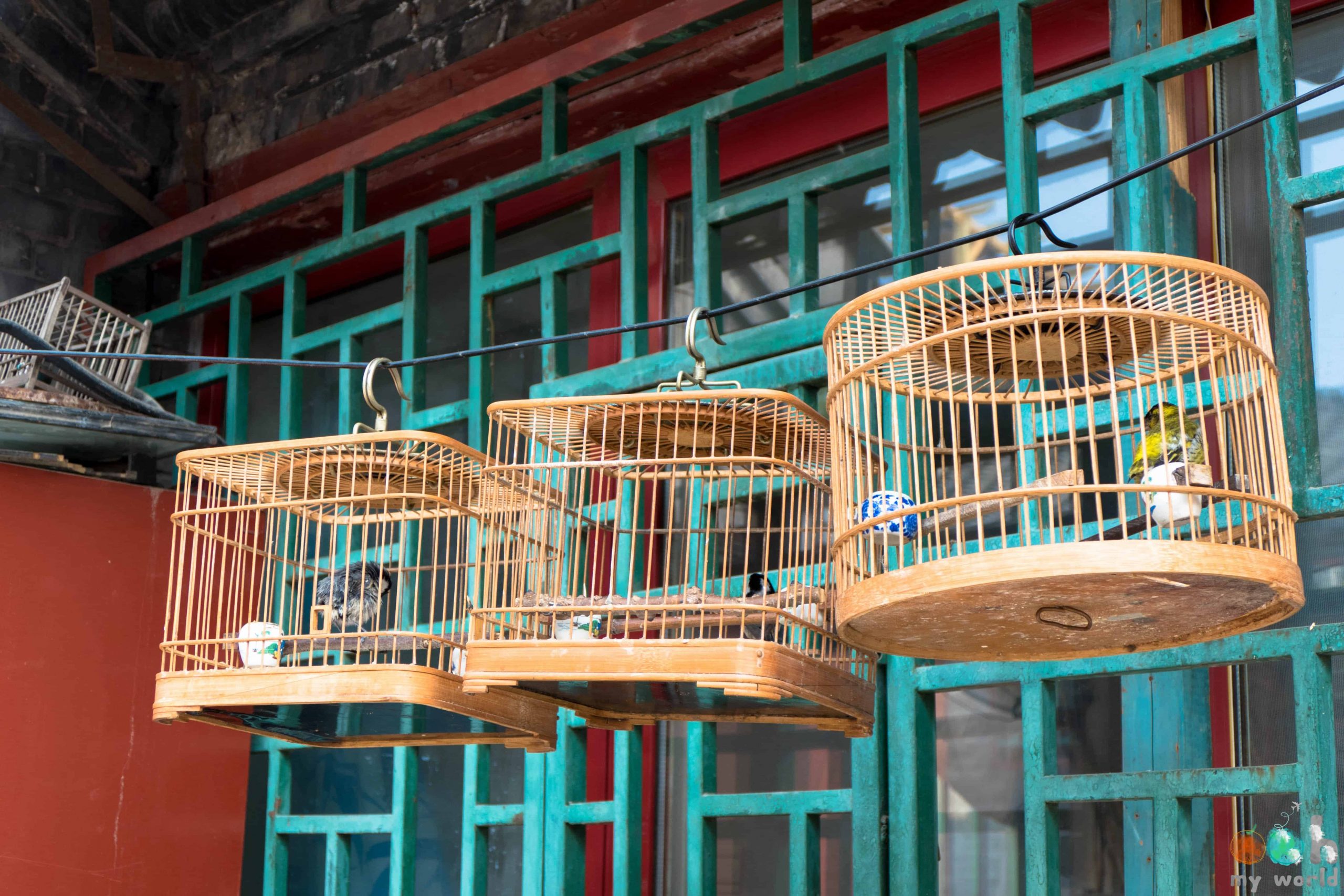 Les cages à oiseaux pékinoises