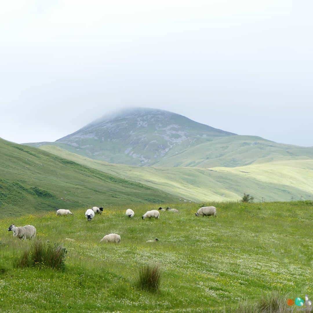 Paysage de la West Highland Way Sur la West Highland Way