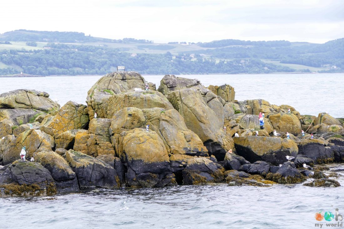 ile_des_nains_a_inchcolm