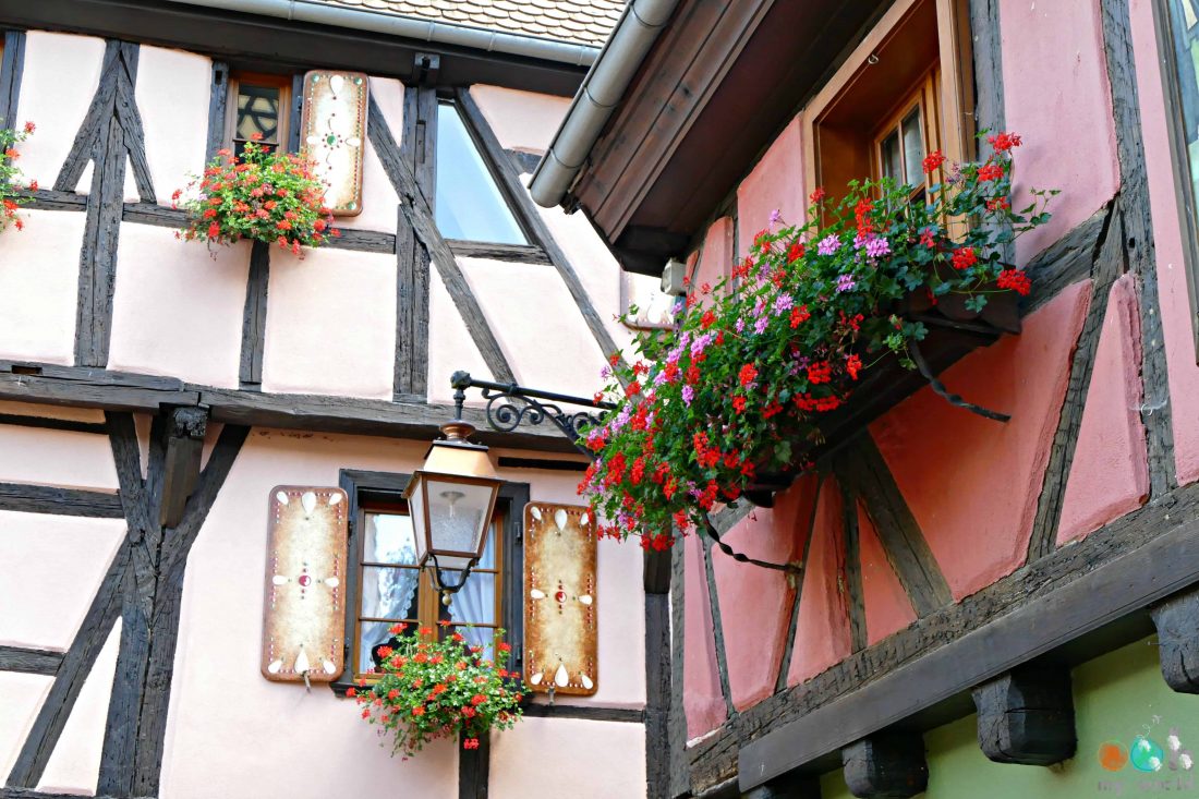 Riquewihr est un des plus beaux villages de France ! Et la raison, ses maisons fleuries et colorées dans tout le centre historique