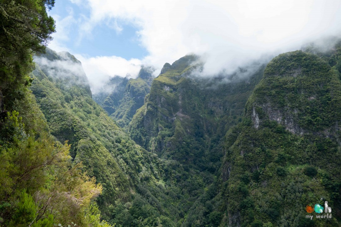 Nature sauvage dans les montagnes de Madère