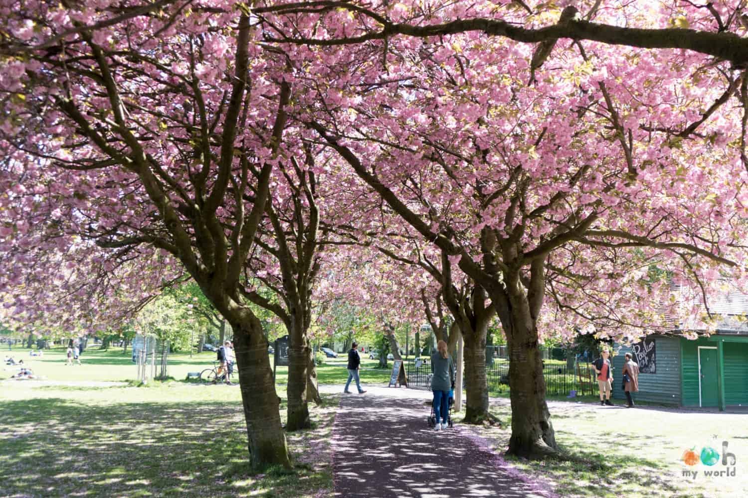 Visiter Edimbourg au printemps entre fleurs et farniente !