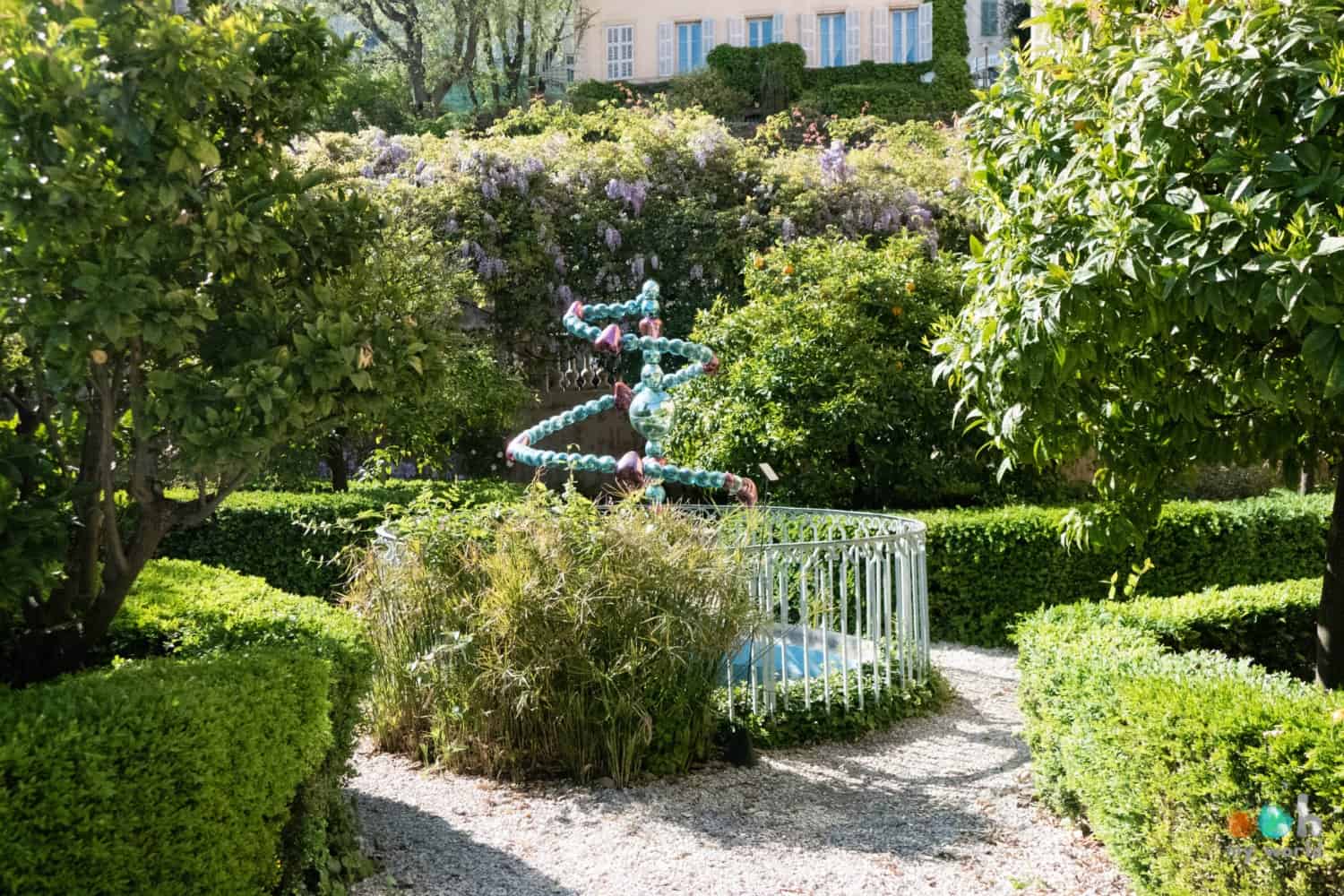 Le jardin du musée du parfum à Grasse Le jardin du musée du parfum à Grasse