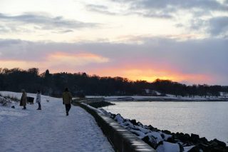 Il neige de nouveau cet aprèm mais c'est pour mieux profiter de ce beau sucre glace pendant les prochains jours !!
En tout cas, c'est l'heure du hot toddy en regardant le match Écosse / Pays de Galles. Bon samedi à tous !
#edimbourg #edimburgo #6nations #samedidetente #hottoddy #ecosse #jaimelecosse