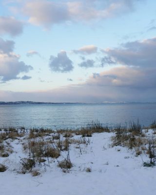 Ces couleurs, cette ambiance... Je suis dingue de ces paysages cotonneux. Des petits crissements de la neige sous les pieds, du calme ambiant.
J'ai pris cette photo hier quand j'ai tourné le mini épisode du Vlog. Si vous voulez voir cet endroit en vidéo ➡️ direction l'onglet IGTV
#jaimelecosse #ecosseforever #ecosse2021 #firthofforth #thisisedinburgh #scotlandisnow #scottishlandscape #snowinedinburgh #snowyscene #edimbourg #edimburgo #edinburgh