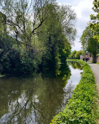 Petite balade au bord du canal à Édimbourg. Vous avez bien lu ! Il y a aussi un beau canal au milieu de la capitale écossaise... Cette ville a vraiment tous les atouts imaginables.
Bien besoin de ces petits moments de repos et de nature ces temps-ci ! Heureusement, nous avons l'embarras du choix.
#jaimelecosse #ecosse #edimbourg #bijoudelanature #natureenville #canalwalk #canalboat #unioncanaledinburgh #scotlandphotography