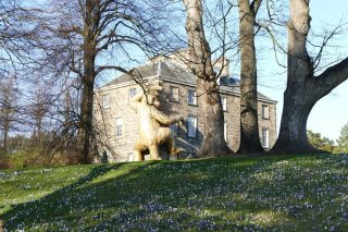 Quelle journée ! J'ai fait le plein de vitamine D, d'air frais et de bonne humeur aujourd'hui.
Oui, j'étais encore fourrée au parc botanique mais c'est normal ! C'est le printemps, les petites fleurs sont de sorties, les rhodos commencent à pointer le bout de leur nez... Bref !
Vous l'aurez compris, ce temps m'a donné le sourire. J'espère que vous avez aussi passé un bon lundi !?
#edimbourg #parcbotanique #rbgedinburgh #crocusflowers #crocus #crocusesinbloom #springisintheair #edinburgh #edinburghgrammer #nature_lovers #edinburgo