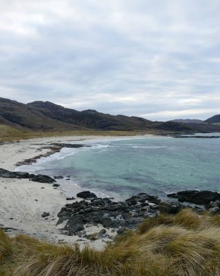 When life gives you lemon... Go to the beach ⛱️
Ça, c'est ce que j'aimerais faire. Mais bon... Sanna Bay est un tout petit trop loin pour moi en ce moment !
C'est un magnifique coin reculé d'Écosse sur la péninsule d'Ardnamurchan. Située à l'ouest de la région juste au dessus de l'île de Mull, c'est un des bijoux de la région.
#sannabay #ardnamurchanpeninsula #scottishbeach #scottishnaturalheritage #natureshooters #jaimelecosse #ecosse